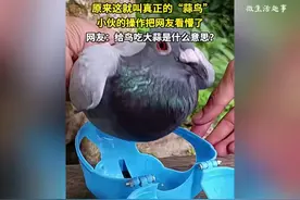 原来这就叫真正的“蒜鸟”，小伙的操作把网友看懵了