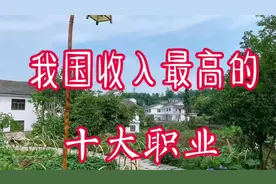 我国收入最高的十大职业
