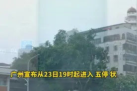 广州宣布从23日19时起进入“五停”状态，全市停工、停业、停运