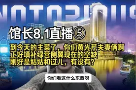 馆长8.1直播⑤：到今天的主菜了，到你们黄光芹夫妻俩了！上菜！