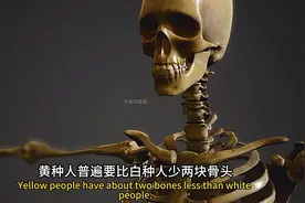 大部分白人和黑人有206块骨头，黄种人却普遍只有204块？