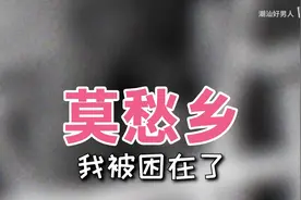 明星大集合，莫愁乡视频封面