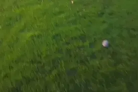 成都暴雨，天府大道华阳段被淹惨！车子堵了几公里！