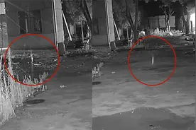 工厂凌晨传来狗叫，老板查监控竟发现不明发光物“步步紧逼”视频封面