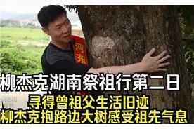 柳杰克湖南祭祖第二日，寻得曾祖父生活旧迹，抱大树感受祖先气息