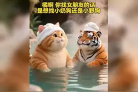萌宠对话：橘猫和虎崽的搞笑日常