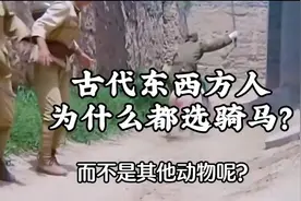 为什么古代东西方人都会选择骑马，而不是骑别的动物？ #涨知识 #