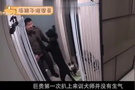 主人模仿训犬师教育小狗，没想训半年全是错的，节目组：这是黑