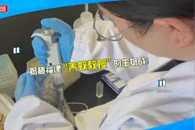 蚊子克星来了！福建专家用细菌战灭蚊，不伤环境还能高效杀虫视频封面
