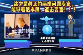 这才是真正的两岸问题专家，能够看透本质，直击要害！！！