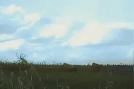 苏联反攻：巴格拉季昂行动，苏军收复白俄罗斯#二战历史记录片#