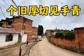 云南红河大山里吃野生菌，见手青310元一斤，厚切油爆太生猛