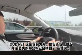 狗狗流浪五年了，你还认得我吗？当它抬头那刻，我哭得像个孩子！