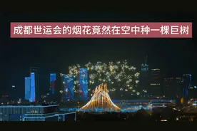 成都世运会的烟花竟然在空中，种了一棵“巨树”
