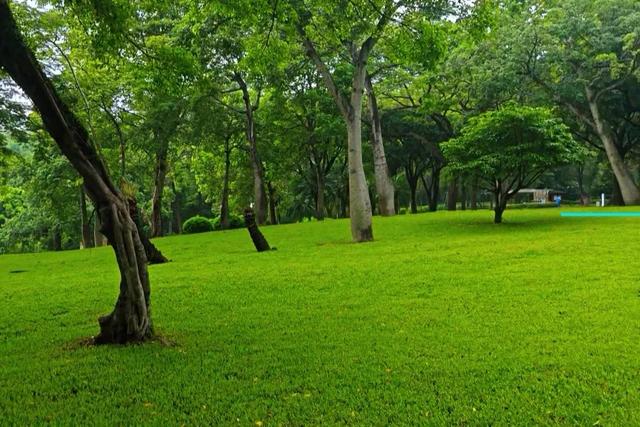 深圳高颜值公园推荐，笔架山公园，湖光山色俯瞰深圳