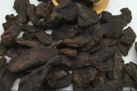 古方中的地黄，是熟地还是生地？图片