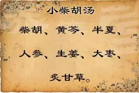 应铁粉要求，讲下小柴胡汤（现在有做成颗粒） 小柴胡汤图片