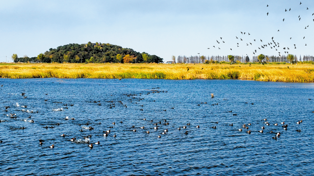 开学第一课！在金坛还能这样学？