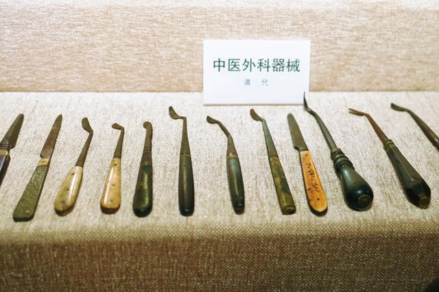 陇东寻根:在庆阳的文脉与烟火中溯源文明