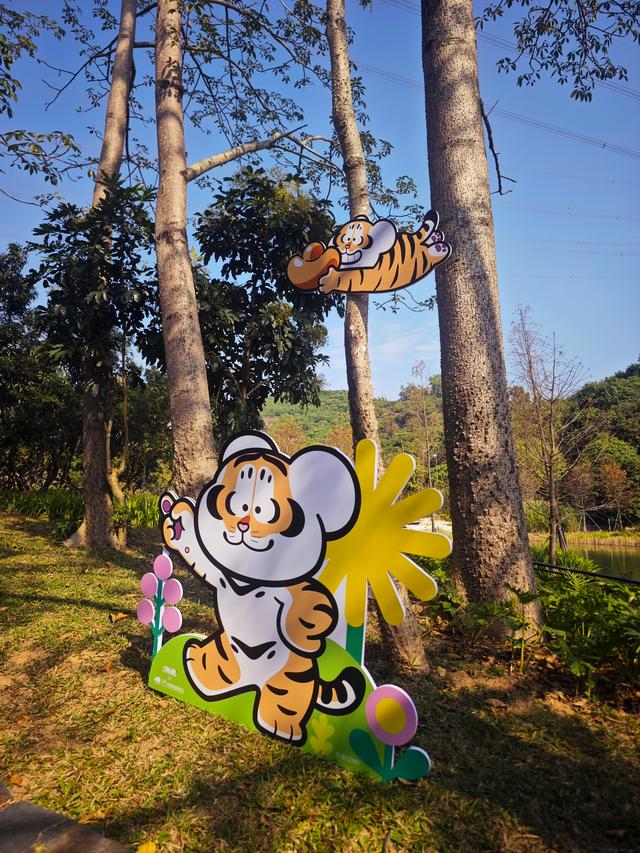 西丽湖绿道骑行随拍