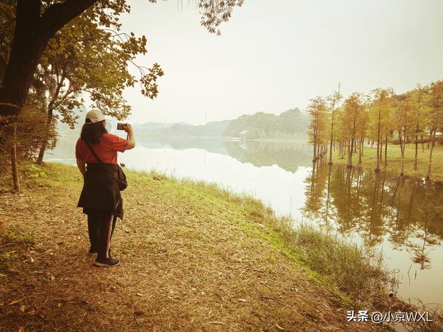 广州大学城小谷围岛