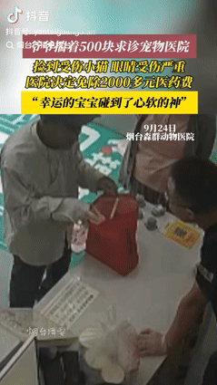 你身边有救助流浪动物的人吗