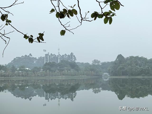 广州大学城小谷围岛