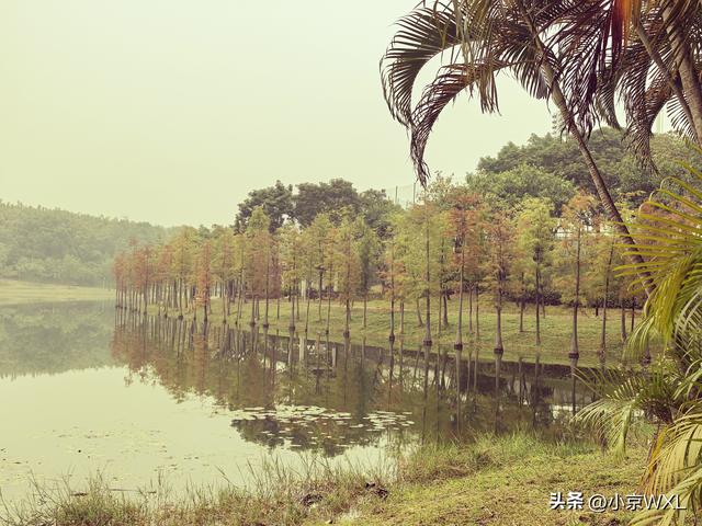 广州大学城小谷围岛