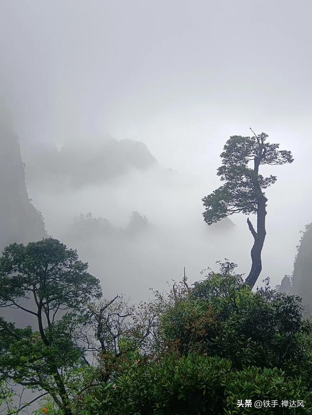 2025湖南行：仙气飘飘～莽山五指峰