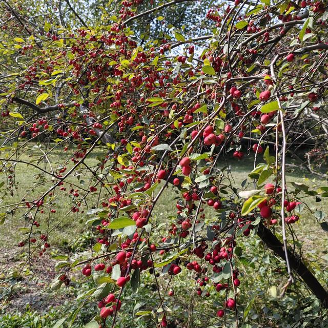 闲话北京的山地徒步<一>