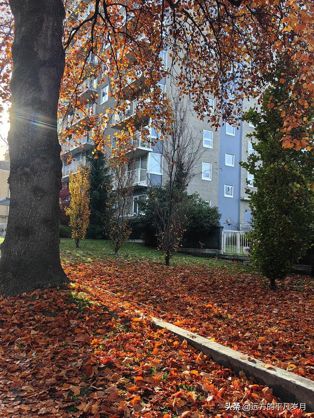 温哥华游记（四）