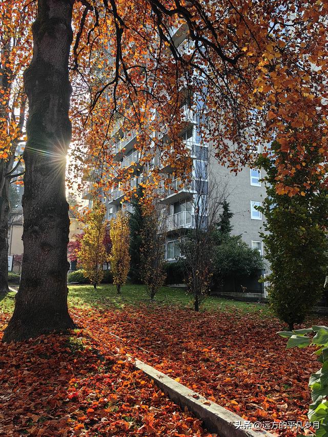 温哥华游记（四）