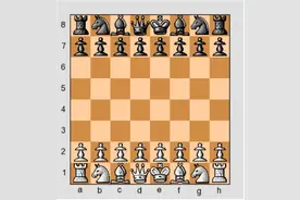 国际象棋入门图解 ★一图片