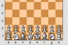 国际象棋入门图解 ★一图片