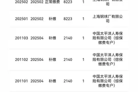 上海综合保险补缴情况图片