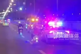 胖猫选择跳江，不少人质疑他这是一种懦弱的行为表现图片