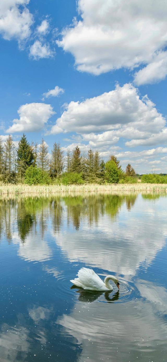 手机壁纸|山水大自然风景美图