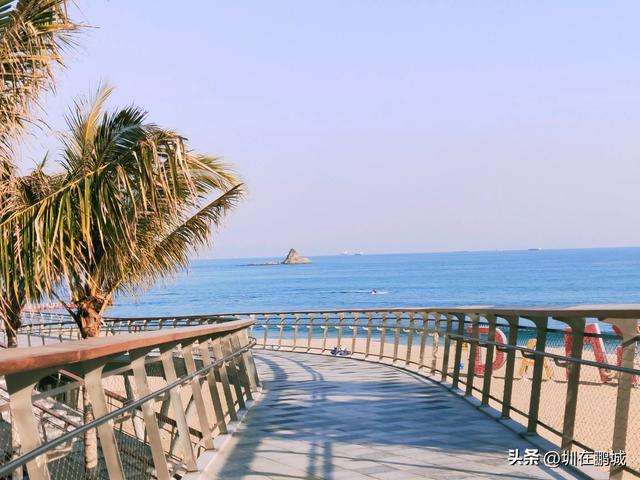 景区人多热闹和人少清净选哪个
