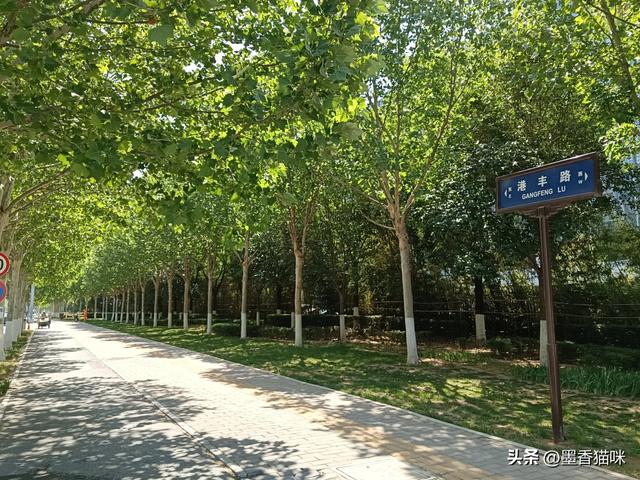 浐灞港务区半日游,顺路逛到临潼,然后坐火车回西安