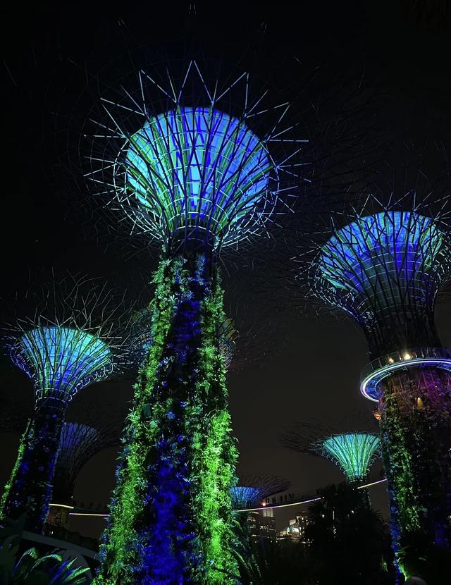 新加坡旅游你最推荐哪个景点