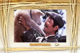 日本电影《忠犬八公物语》：人狗情缘催泪大作，打动了观众的心灵图片