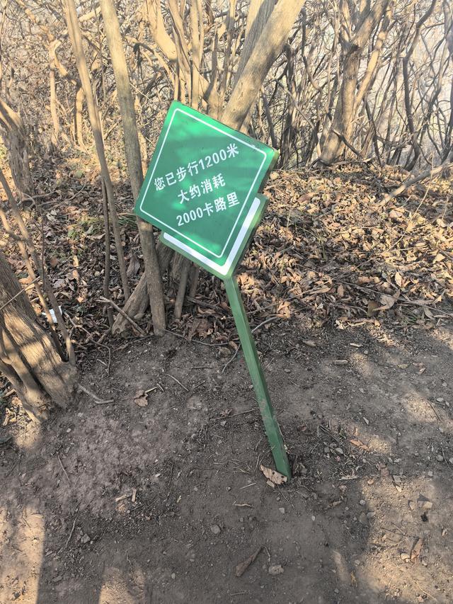 南京第二次到镇江武岐山空青山郊野徒步