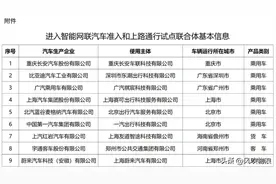 想不到吧，L3级自动驾驶试点名单一经曝光，有人惊喜！有人忐忑？图片