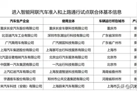 想不到吧，L3级自动驾驶试点名单一经曝光，有人惊喜！有人忐忑？图片