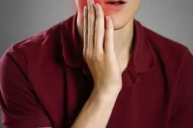 骨碎补补肾，让牙齿更结实，骨头和牙齿的根是连在一起的图片