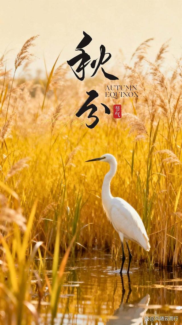 12条秋分·藏在时光里的秋日絮语