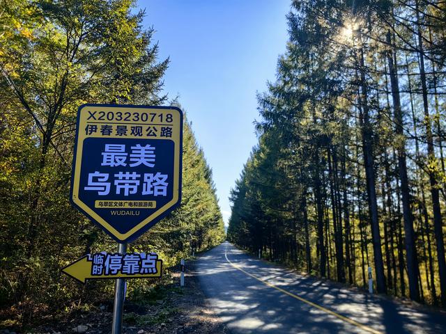 两人一车一狗自驾游全国，哈尔滨到伊春走最美乌带公路，来早了