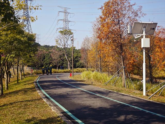 西丽湖绿道骑行随拍