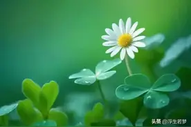 写你是我口中的漫不经心，亦或是我心中的兵荒马乱图片