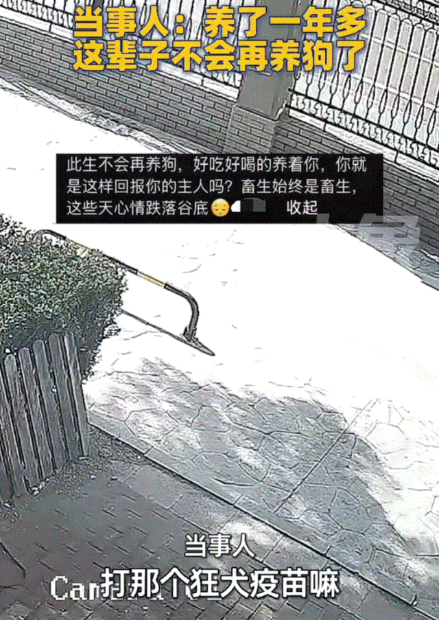 你养宠物遇到过反咬情况吗